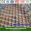 5cm*5cm Tortoise Shell Mesh / Hexsteel Mesh